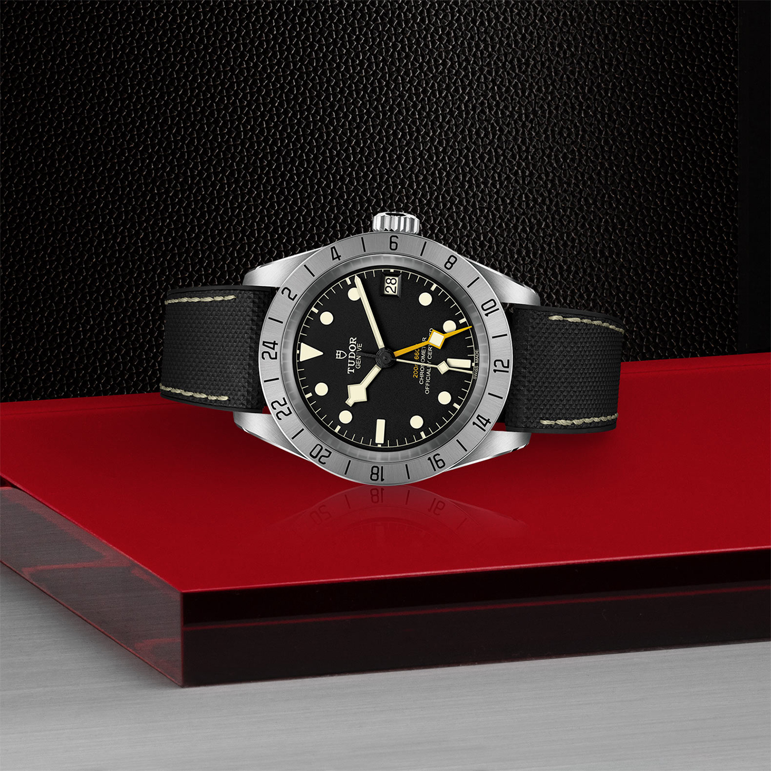 Tudor-M79470-0003_laying-down