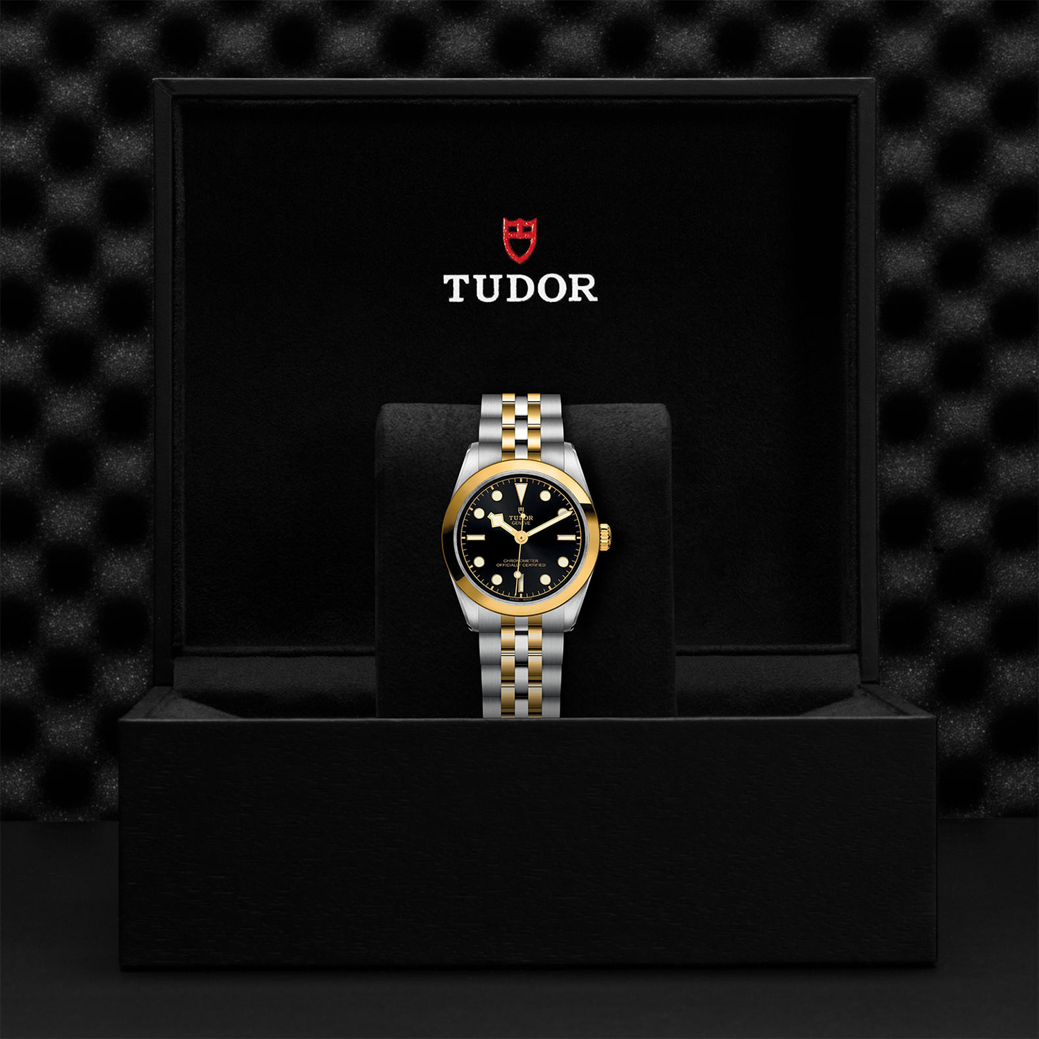 Tudor-M79603-0001_box