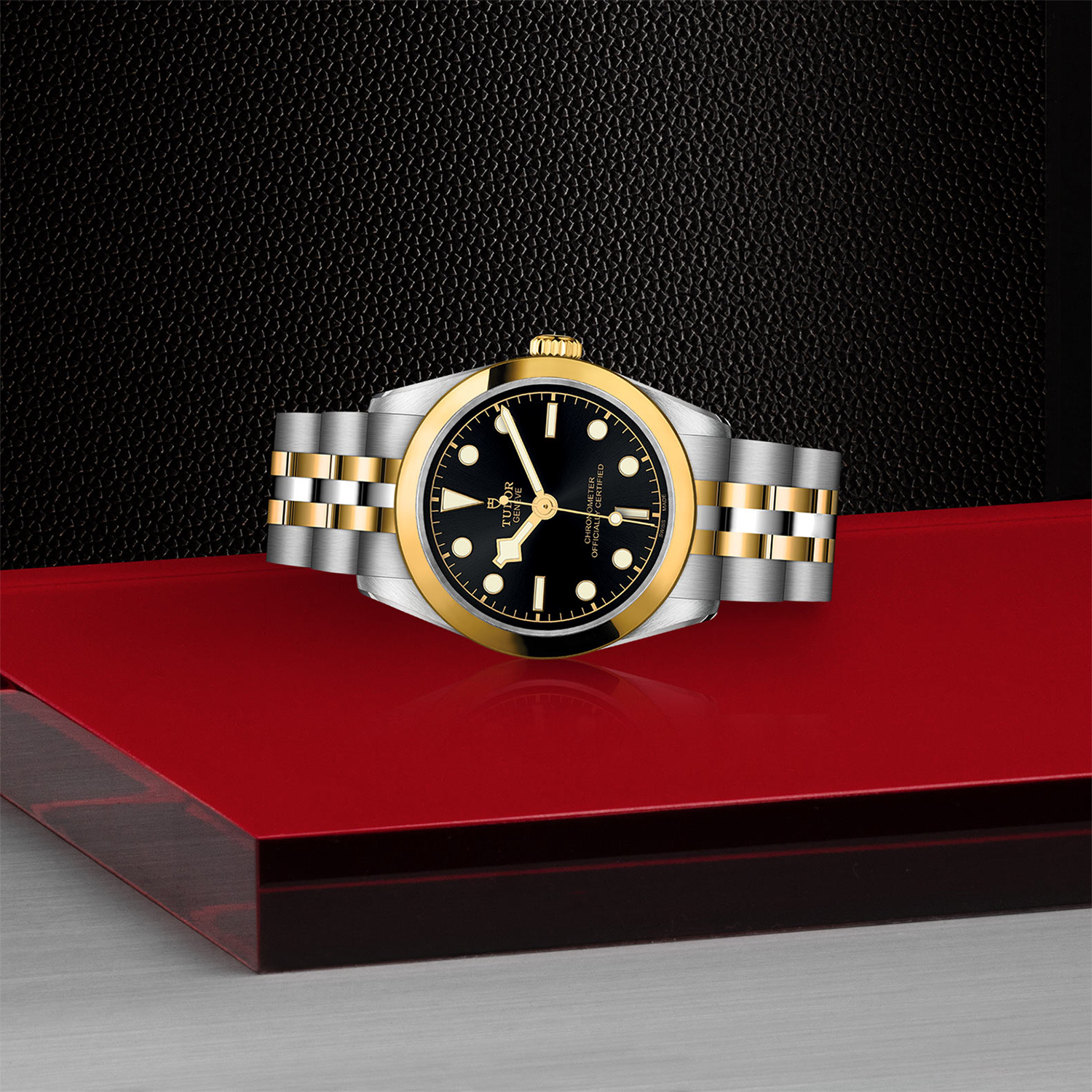 Tudor-M79603-0001_laying-down