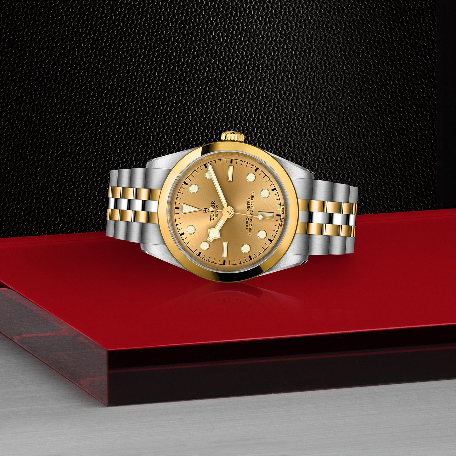 Tudor-M79643-0005_laying-down