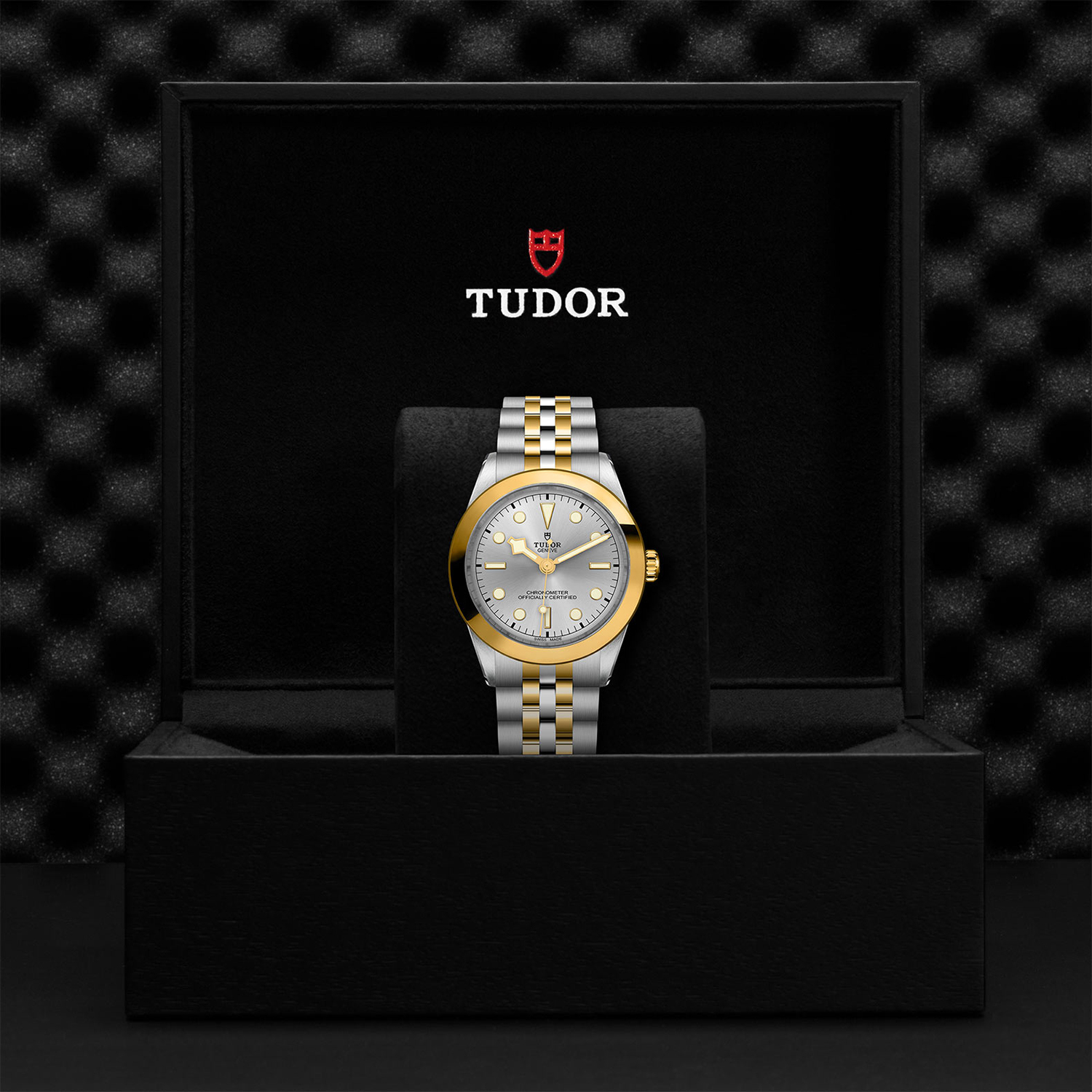 Tudor-M79663-0002_box