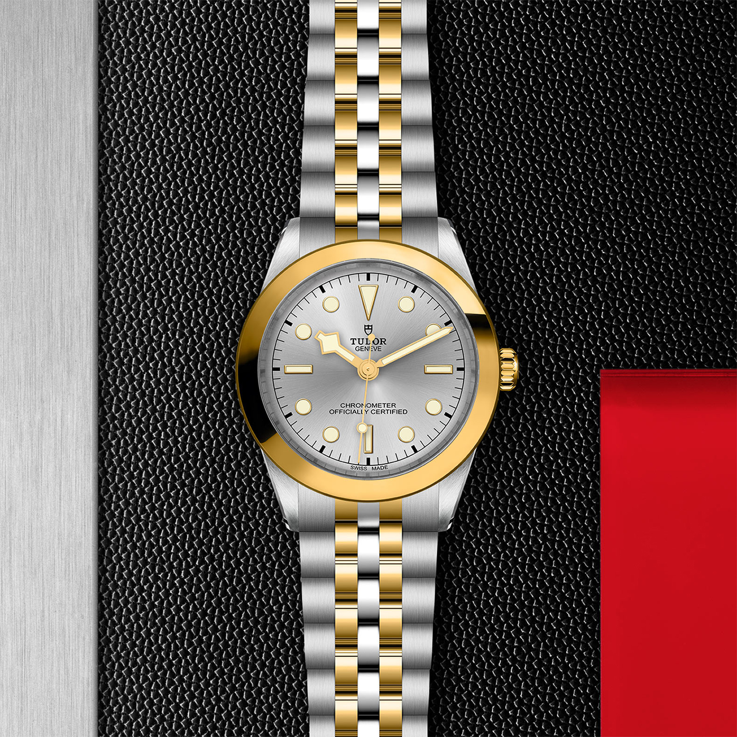 Tudor-M79663-0002_flat