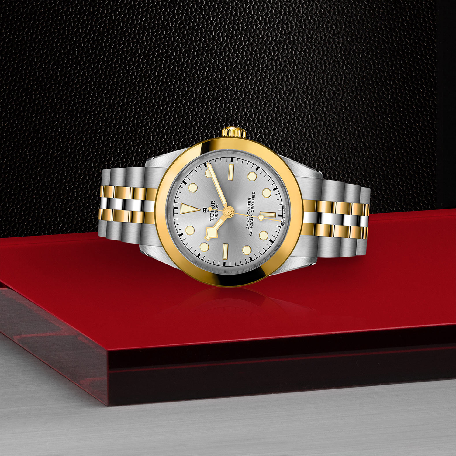 Tudor-M79663-0002_laying-down