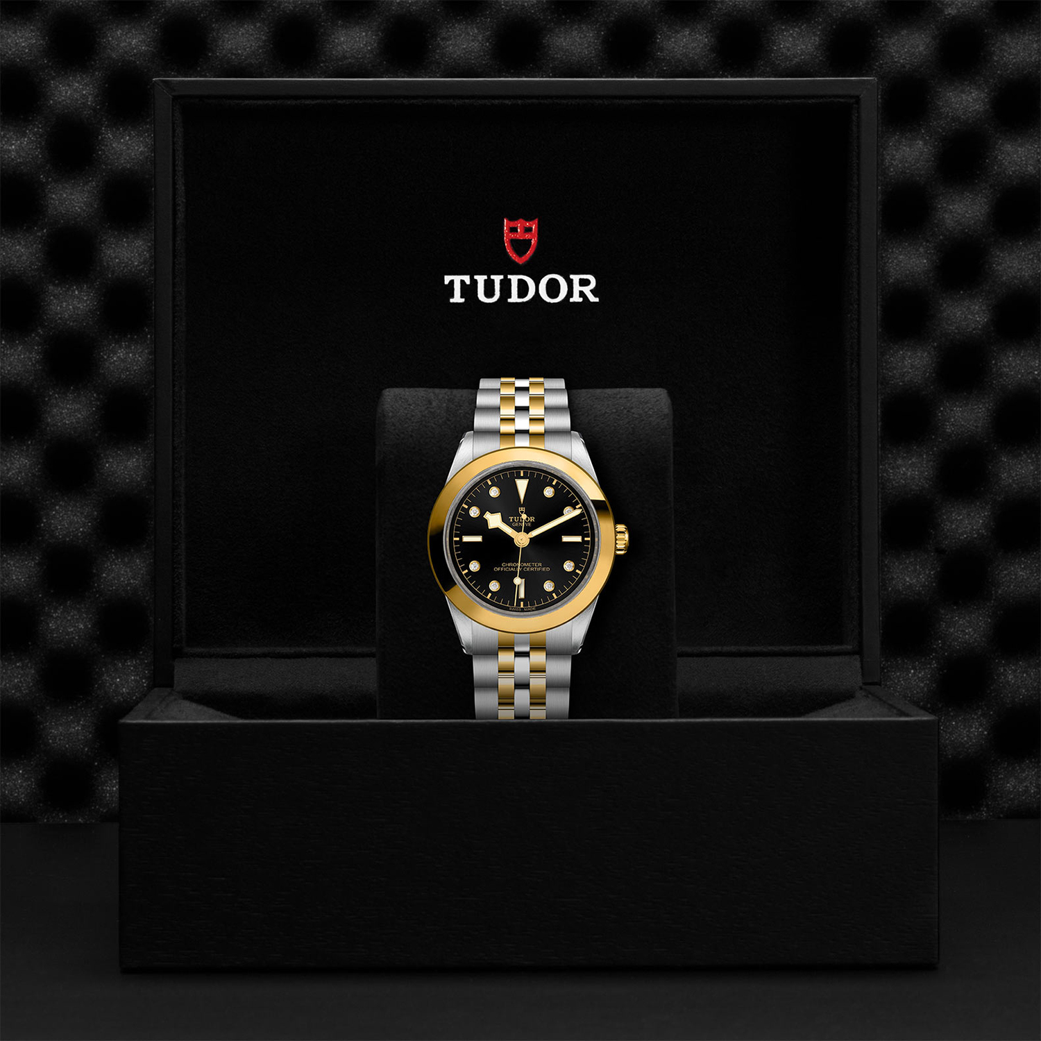 Tudor-M79663-0006_box