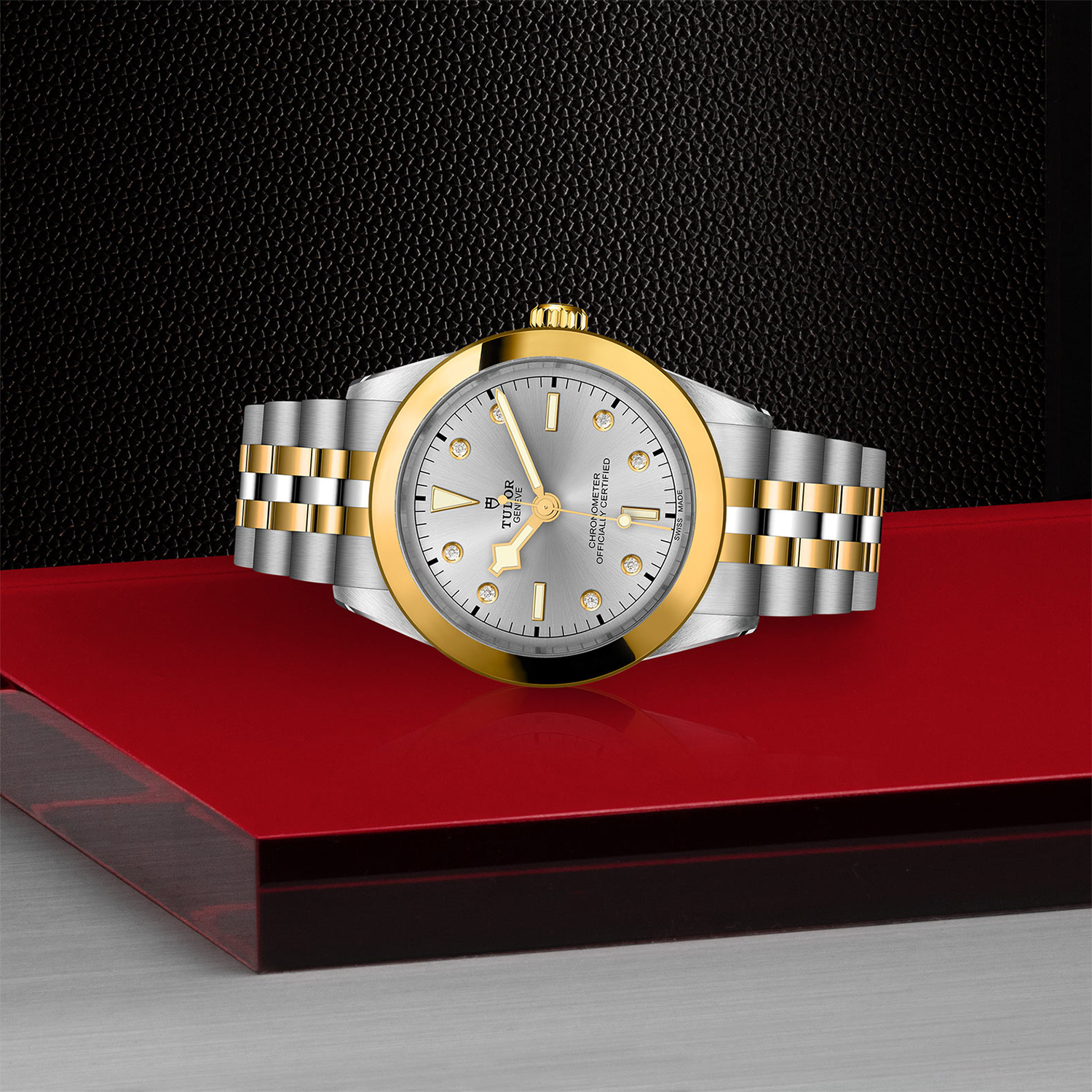 Tudor-M79663-0007_laying-down