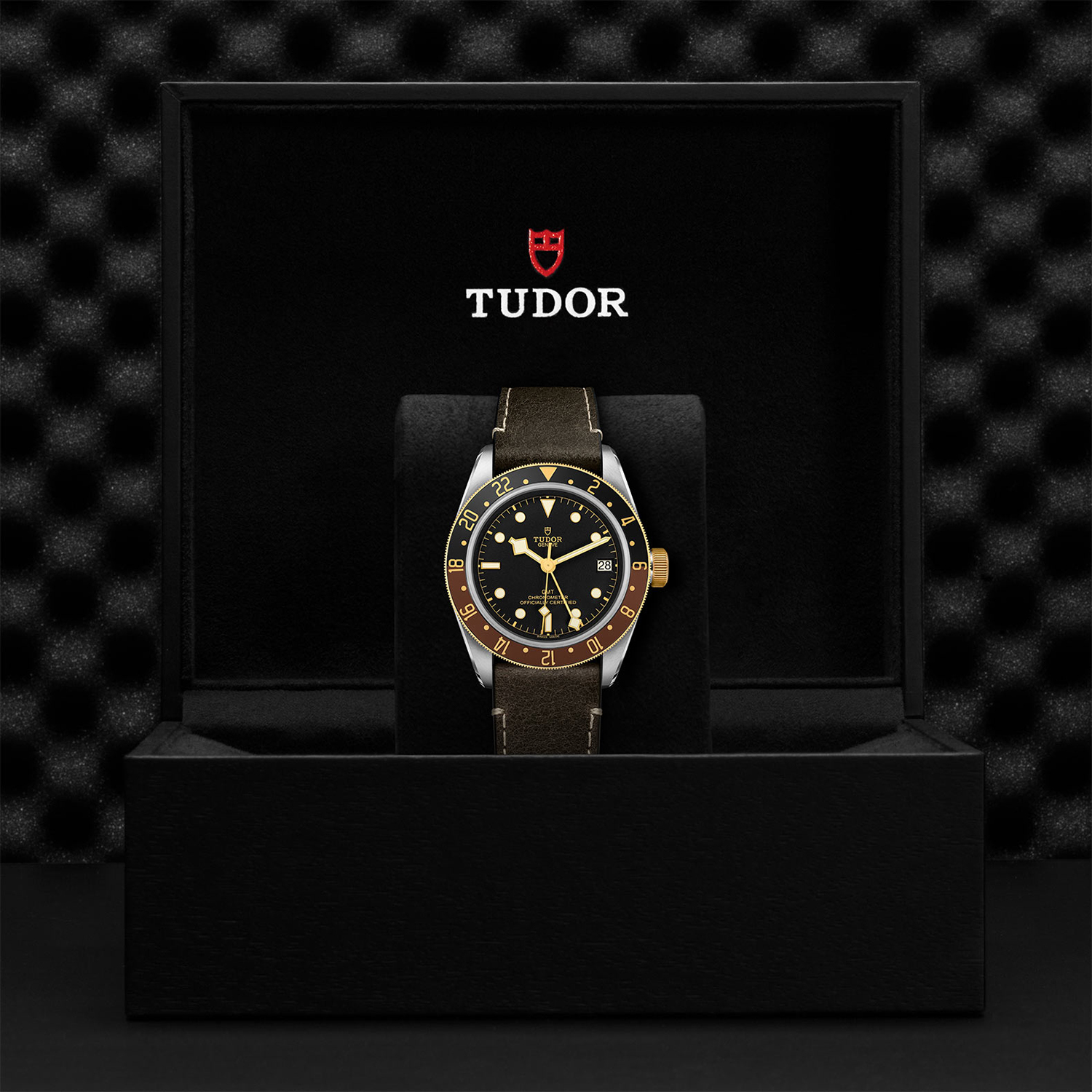 Tudor-M79833Tudor-MN-0003_box