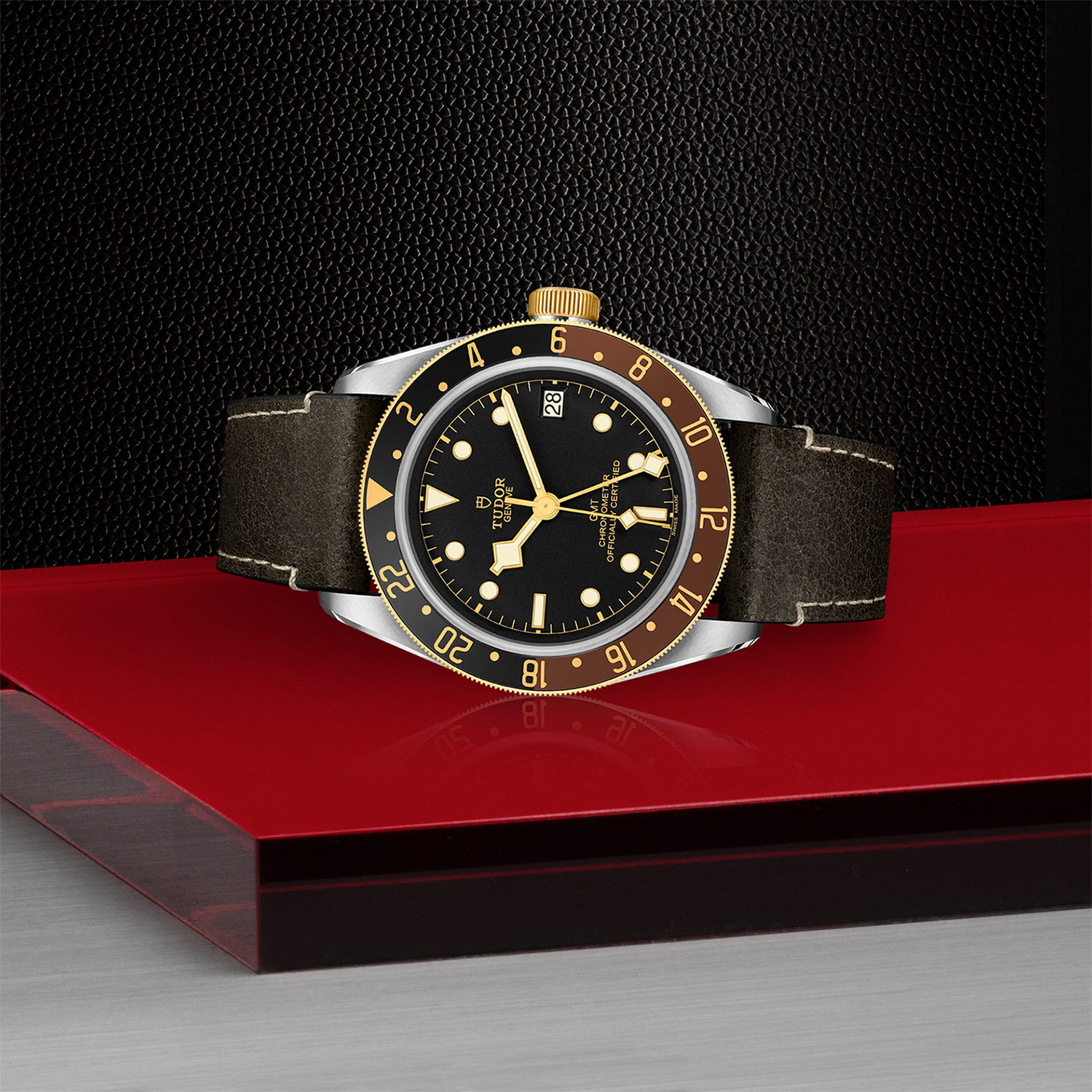 Tudor-M79833Tudor-MN-0003_laying-down
