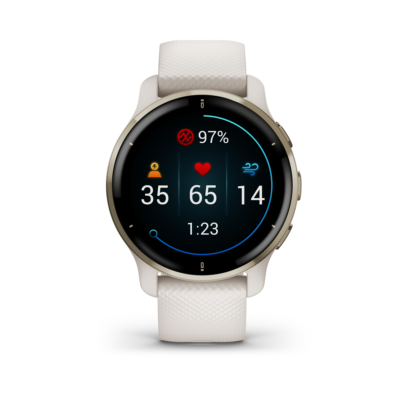 Garmin Venu 2 Plus - 010-02496-12
