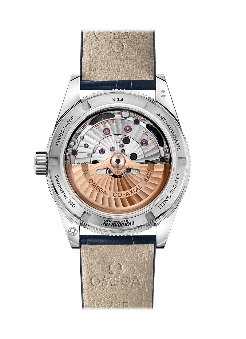Omega Seamaster Seamaster 300 Master Co-Axial 41 MM - Image 2