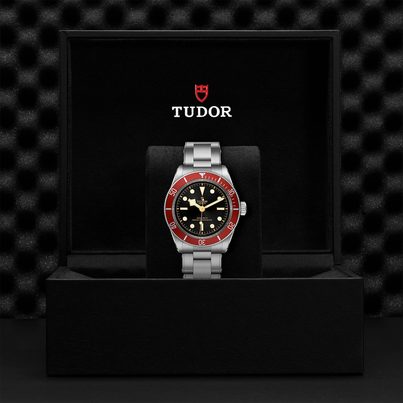 Tudor Black Bay 41 - M7941A1A0RU-0001 - Image 4