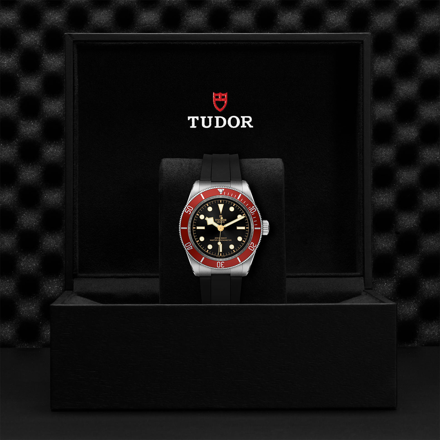 Tudor Black Bay 41 - M7941A1A0RU-0002 - Image 4