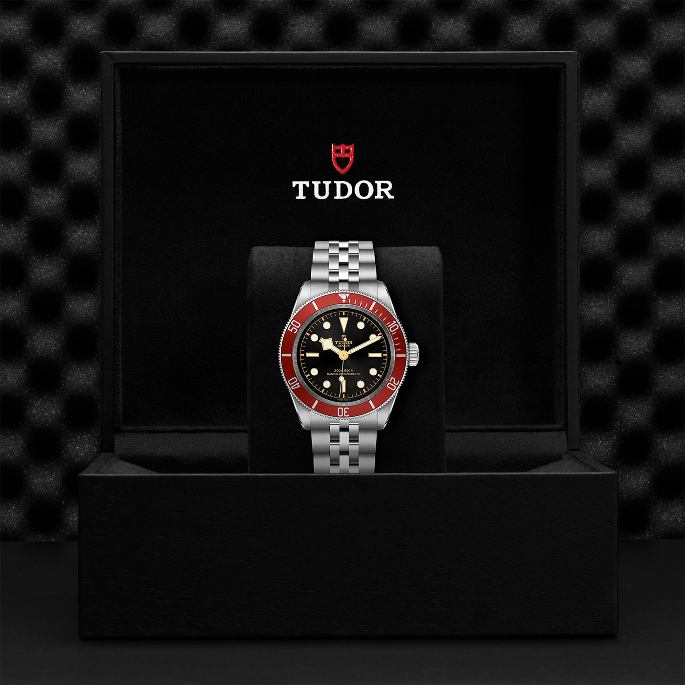 Tudor Black Bay 41 - M7941A1A0RU-0003 - Image 4