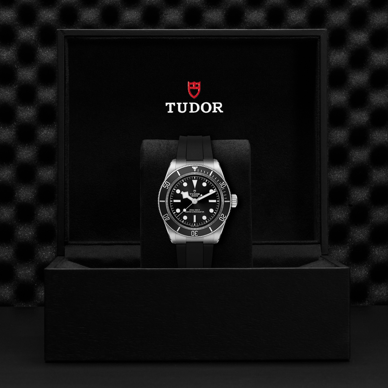 Tudor Black Bay - M7941A1A0NU-0002 - Image 4